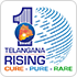 Telangana Rising Logo